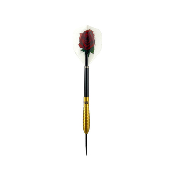 12pc Formula Sports 25g Tony David 90% Golden Tungsten Darts w/ Case