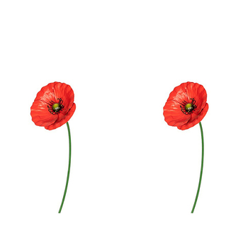 2x Garden 75cm Metal Stake Poppy Large Floral Decor - Red