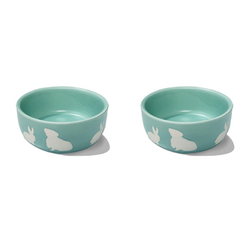 2PK Nature Island Ceramic 11.5cm Print Rabbit & Guinea Pig Feeding Pet Bowl Green