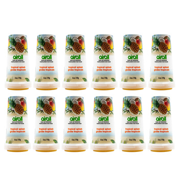 12PK Airall Solid Home/Room Air Freshener 170G - Tropical Splash