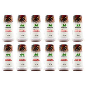 12PK Airall Solid Home/Room Air Freshener 170G - Autumn Spice Scent