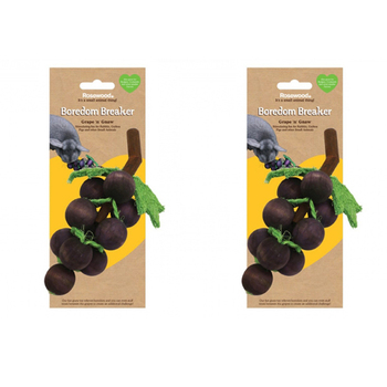 2PK Rosewood Grape & Gnaw Hamster/Rabbit Wooden Chew/Nibble Pet Activity Toy Brown
