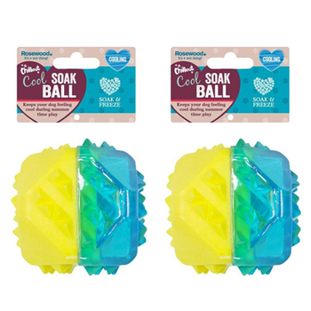 2PK Rosewood Chillax Cool Soak Rubber Ball Pet Dog Chew Outdoor Fetch Toy Yellow/BLU