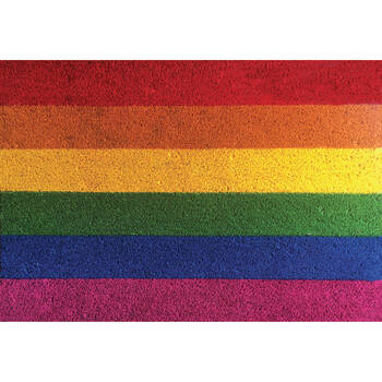 Solemate PVC Backed Coconut Coir Rainbow Doormat 45x75cm