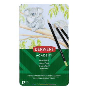 Derwent Academy Art Craft Hexagonal Pastel Colour Pencil Tin 12pc