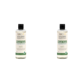 2PK Gilly's Brush Soap Cleaner w/ Eucalyptus Oil Non Toxic 250ml