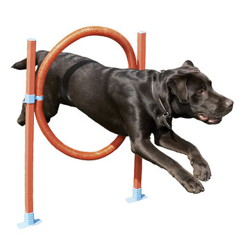 Rosewood Dog Agility Hoop Jump