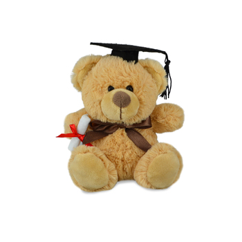 My Buddy Bear 16cm Graduation Soft Plush Toy Kids 3y+