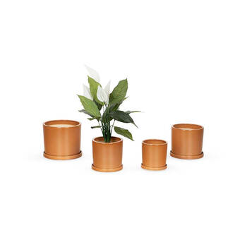 4pc Ceramic Cylindrical Pot w/ Saucer - Terracotta