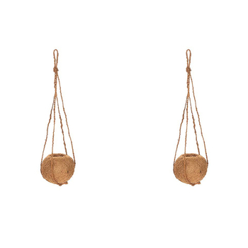 2x Coconut Fibre Ball Planter Outdoor Yard/Patio Garden Decor w/ Jute Hanger
