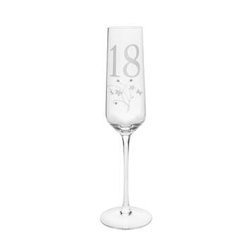 Gibson Gifts 18 Birthday Crystal Champagne Glass - Clear