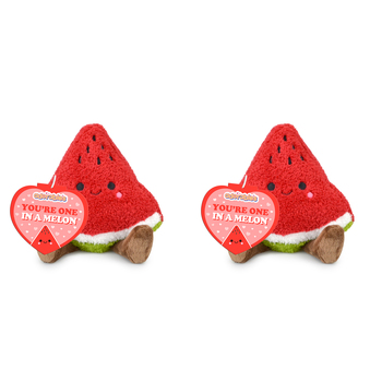 2PK Adorables Watermelon Fruit Plush Soft Toy 20cm - Red
