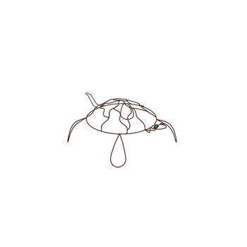 Turtle Wire Large Home/Garden/Patio Planter Decor 78x57cm