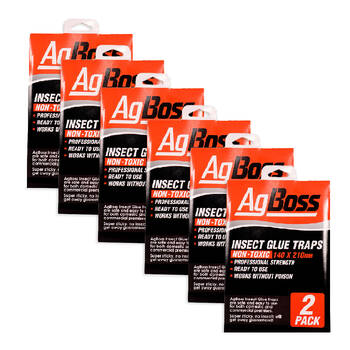 6x 2pc AgBoss Insects, Fly and Bugs Sticky Glue Traps 140x210mm