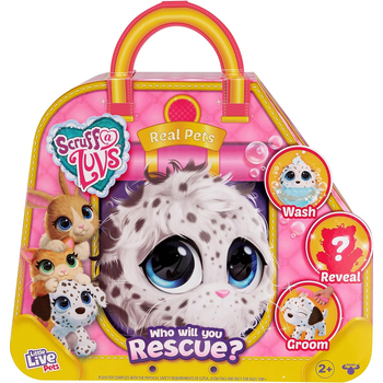 Little Live Pets Scruff-A-Luvs S10 Real Pets Single Kids/Childrens Toy 2y+
