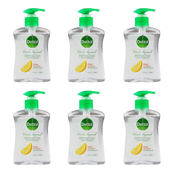6PK Dettol 250ml Parents Approved Pump Hand Wash Citrus Scent