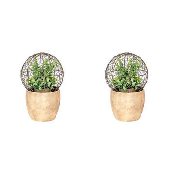 2PK Medium Wire Mesh Metal Ball Topiary Plant Frame 24x22cm Rust Copper