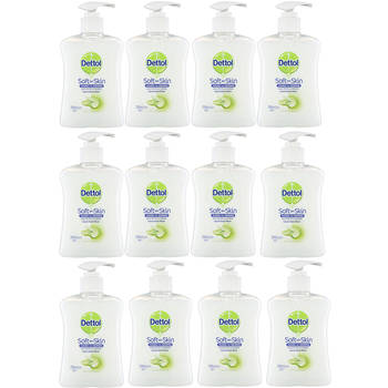 12pc Dettol 250ml Liquid Hand Wash Aloe Vera/Vitamin E w/ Pump