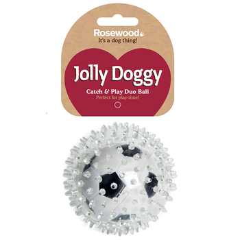 2PK Rosewood Catch & Play Football Pet Toy