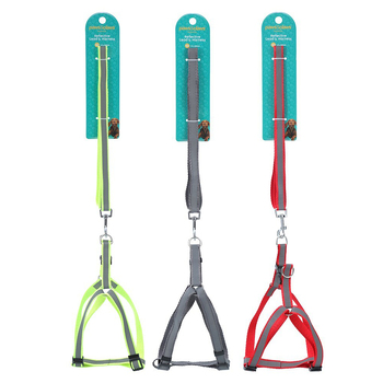 3PK Paws & Claws 120cm Reflective Lead & Harness Set - Assorted