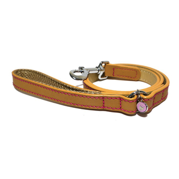 Rosewood 107cm Leather Pet/Dog Lead w/ Hook Training/Walking Animal Leash Tan