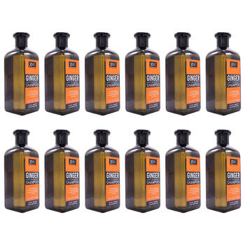 12PK XHC Nourishing Anti-Dandruff Ginger Shampoo 400ml SLES & Paraben-Free