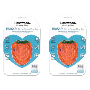2PK Rosewood 10cm Antimicrobial Raspberry Biosafe Pet Dog Dental Chew Toy Orange