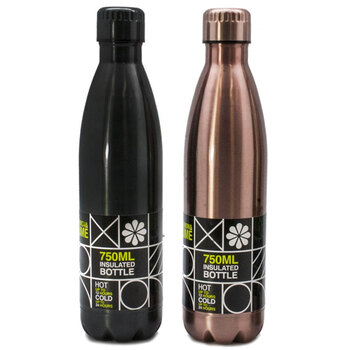 2PK Lemon & Lime 750ml Insulated Drink Bottle Assorted