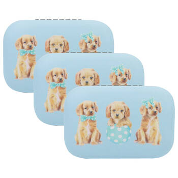3PK Wicked Sista Cavoodles Rectangle Jewellery Hard Cover Travel Case 8.5x2.5cm