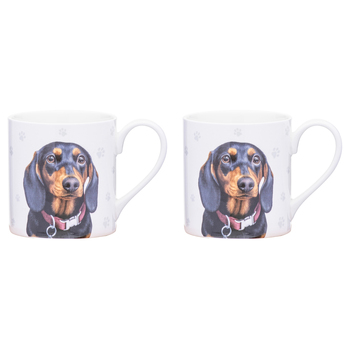 2PK Ashdene Paws & All 380ml Mug Coffee/Tea Cup - Dachshund