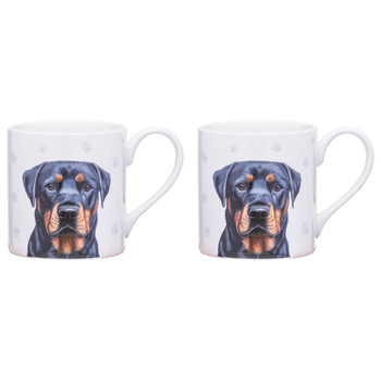2PK Ashdene Paws & All 380ml Mug Coffee/Tea Cup - Rottweiler