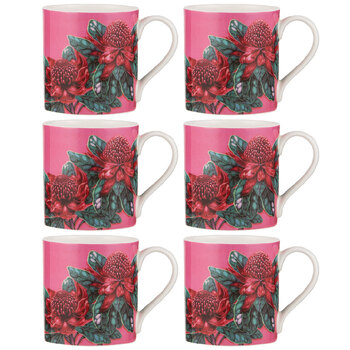 6PK Ashdene Native Flora Waratah Fine Bone China Drinking Cup Mug