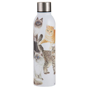 Ashdene Purrrfect Moments Water Drink Bottle 24.5cm