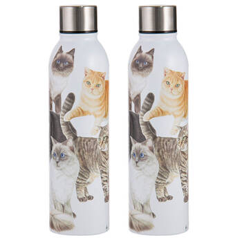 2PK Ashdene Purrrfect Moments Water Drink Bottle 24.5cm