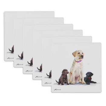 6PK Ashdene Puppy Love Labrador Ceramic Coaster Square 10x10cm