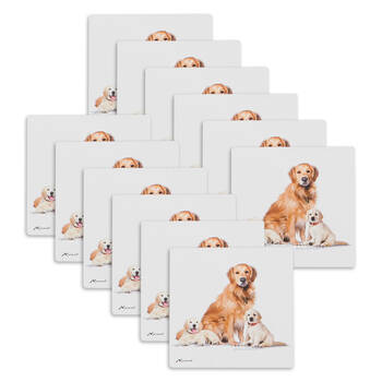 12PK Ashdene Puppy Love Golden Retriever Ceramic Coaster Square 10x10cm
