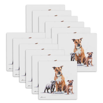 12PK Ashdene Puppy Love Staffy Terrier Ceramic Coaster Square 10x10cm