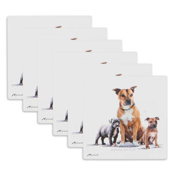 6PK Ashdene Puppy Love Staffy Terrier Ceramic Coaster Square 10x10cm