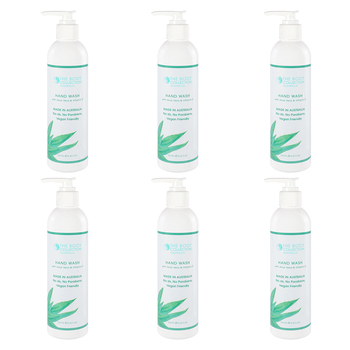 6PK The Body Collection Hand Wash 250ml Bottle w/ Aloe Vera & Vitamin E