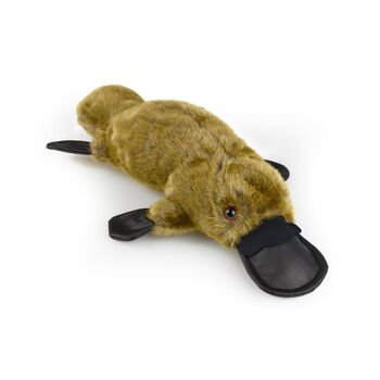 Platypus Am Ab72 Kids 31cm Soft Toy 3y+