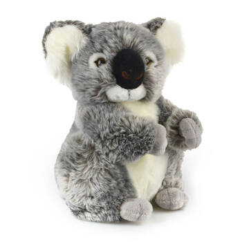 Korimco 28cm Kalypso Koala Size - Large