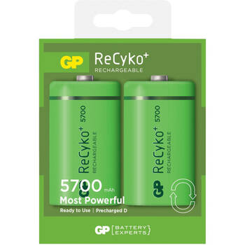 RECYKO LSD 'D' BATTERY 2PK