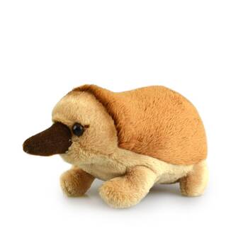 Echidna (Lil Friends) Kids 15cm Soft Toy 3y+