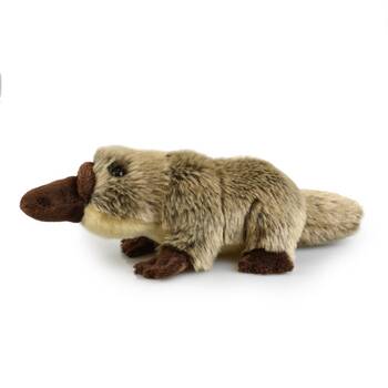 Platypus (Lil Friends) Kids 18cm Soft Toy 3y+