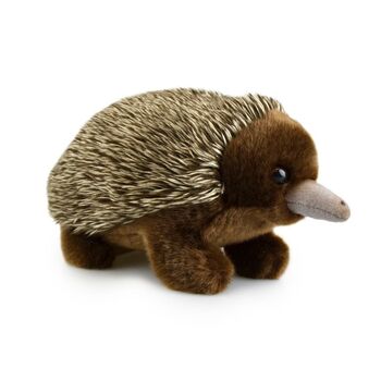 Echidna (Lil Friends) Kids 18cm Soft Toy 3y+