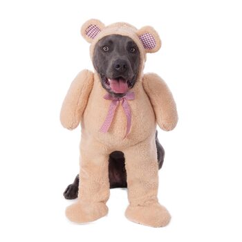 Rubies Walking Teddy Bear Big Dogs Pet Dress Up Costume - Size Xxxl
