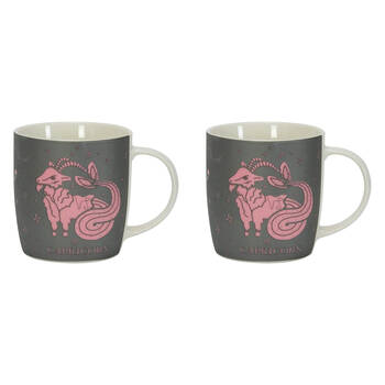 2PK Annabel Trends Coffee/Tea Mug/Cup Zodiac Sign Capricorn 350ml