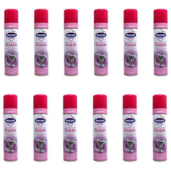 12PK Neutradol Smart Foam Carpet Cleaner 300ml - White Bouquet