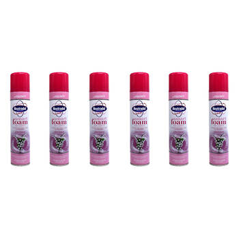 6PK Neutradol Smart Foam Carpet Cleaner 300ml - White Bouquet