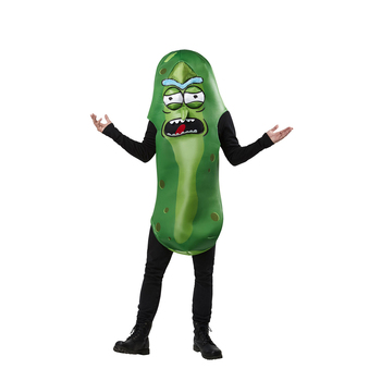 Rick & Morty Pickle Rick Adult Os Costume Party Dress-Up 
